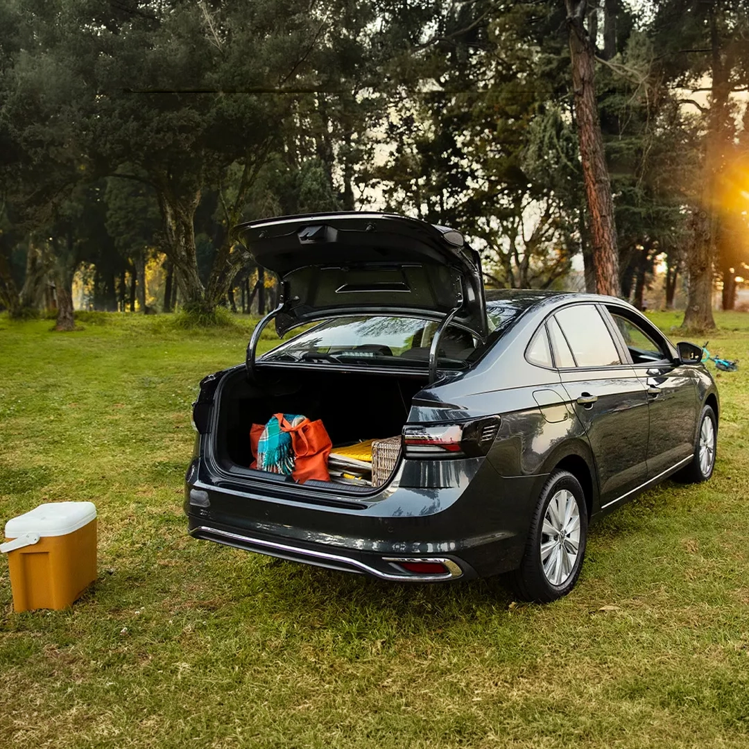 Details of the Polo Sedan