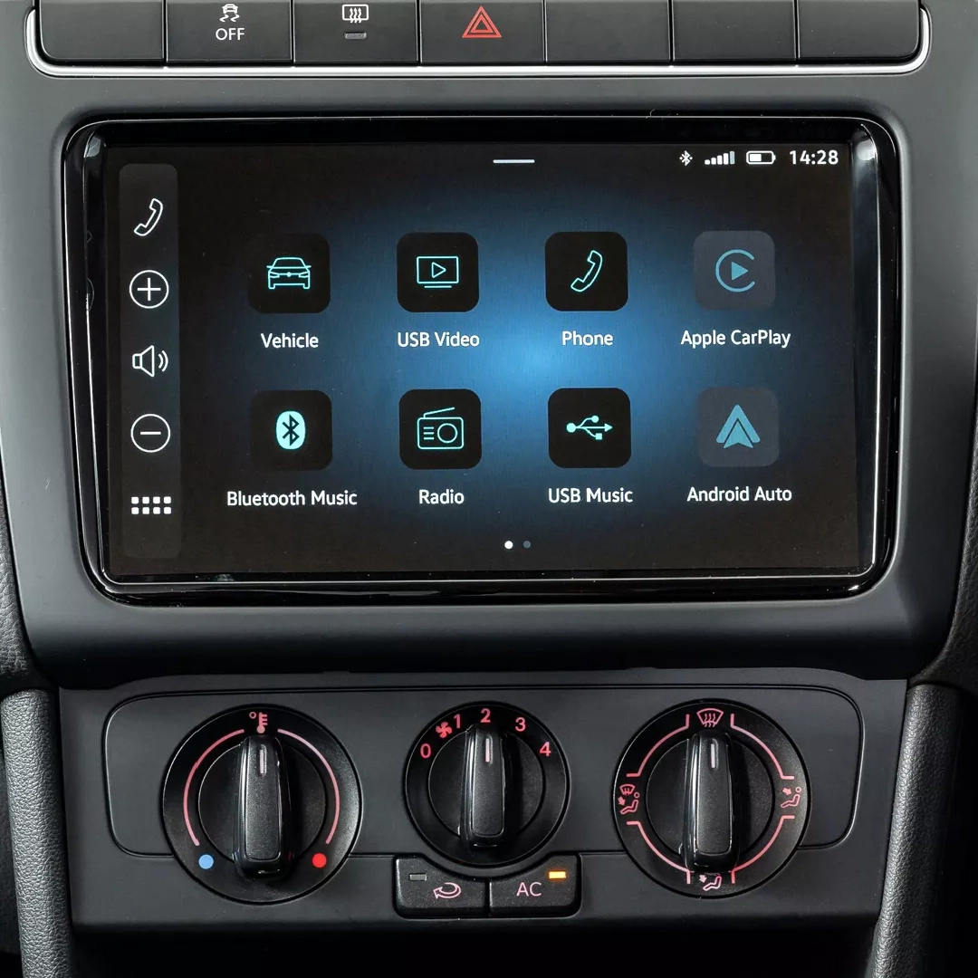 Details of the Polo Vivo