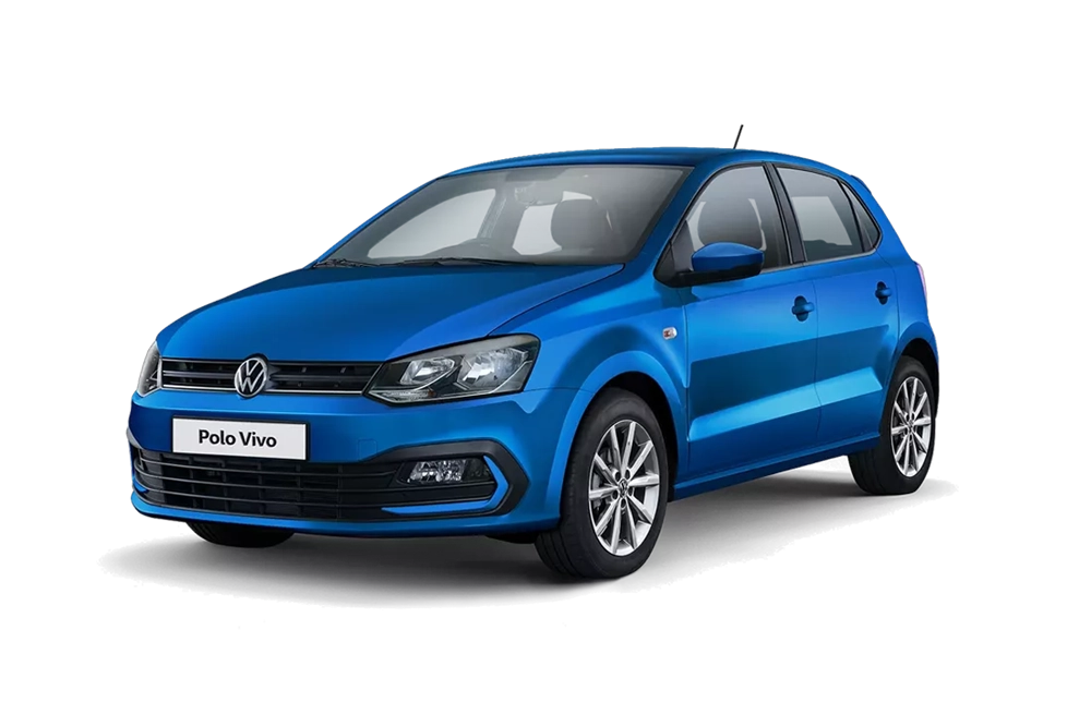 Polo Vivo